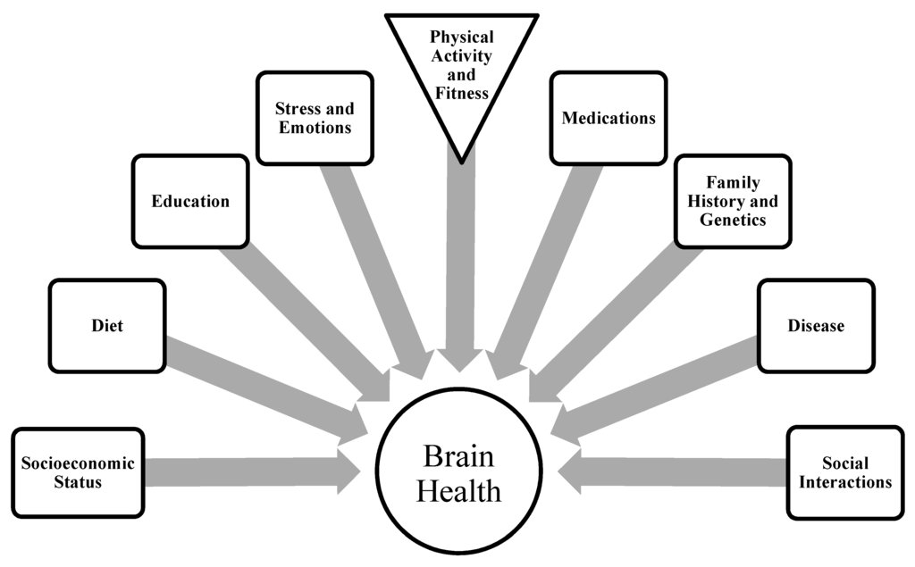 Early-life exercise may promote lasting brain and metabolic health #BrainHealth ow.ly/ls0f303aTUE