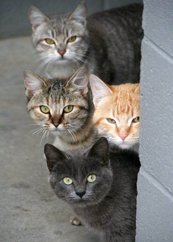 rocioyrodrigo's tweet image. Muy buenos dias!!!