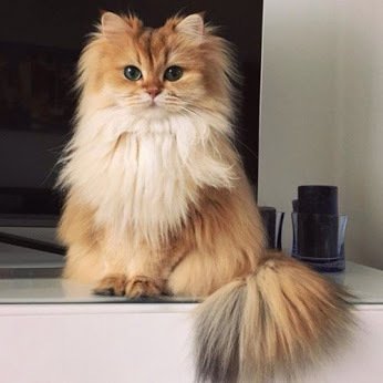 rocioyrodrigo's tweet image. Muy buenos dias!!!