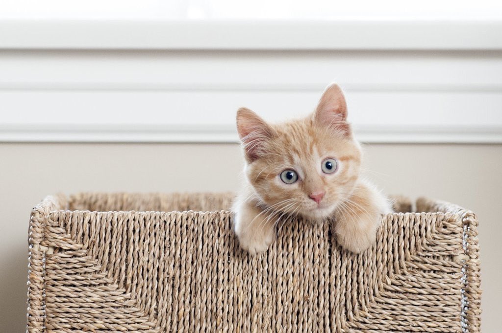 rocioyrodrigo's tweet image. Muy buenos dias!!!