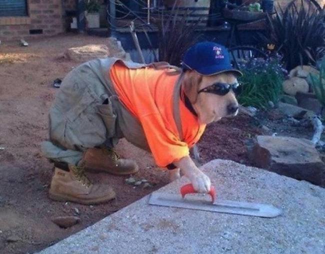 sobore's tweet photo. Last work day of the week! #FridayFeeling https://t.co/0N5HHW6iuA