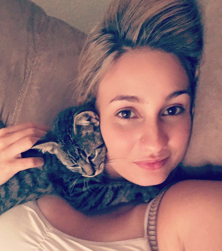 corinnacaitlin's tweet photo. Why didn't I get a cat sooner? 😻 https://t.co/54t0z94Rzg