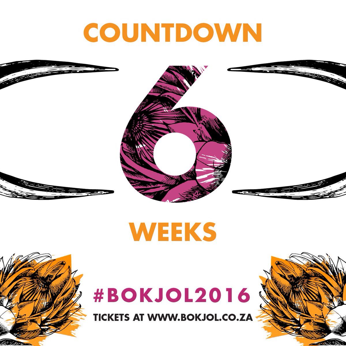 BOKJOL_ZA's tweet photo. Let the countdown begin! 6 WEEKS until we jol like never before at #BOKJOL2016 23-25 Sept! https://t.co/HVG7X2Eehw https://t.co/0AFCBUztEf