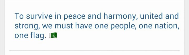 Mr_BiLx's tweet photo. To survive in peace and harmony, united and strong, we must have one people, one nation, one flag. 🅿 https://t.co/Csah2qVVEb