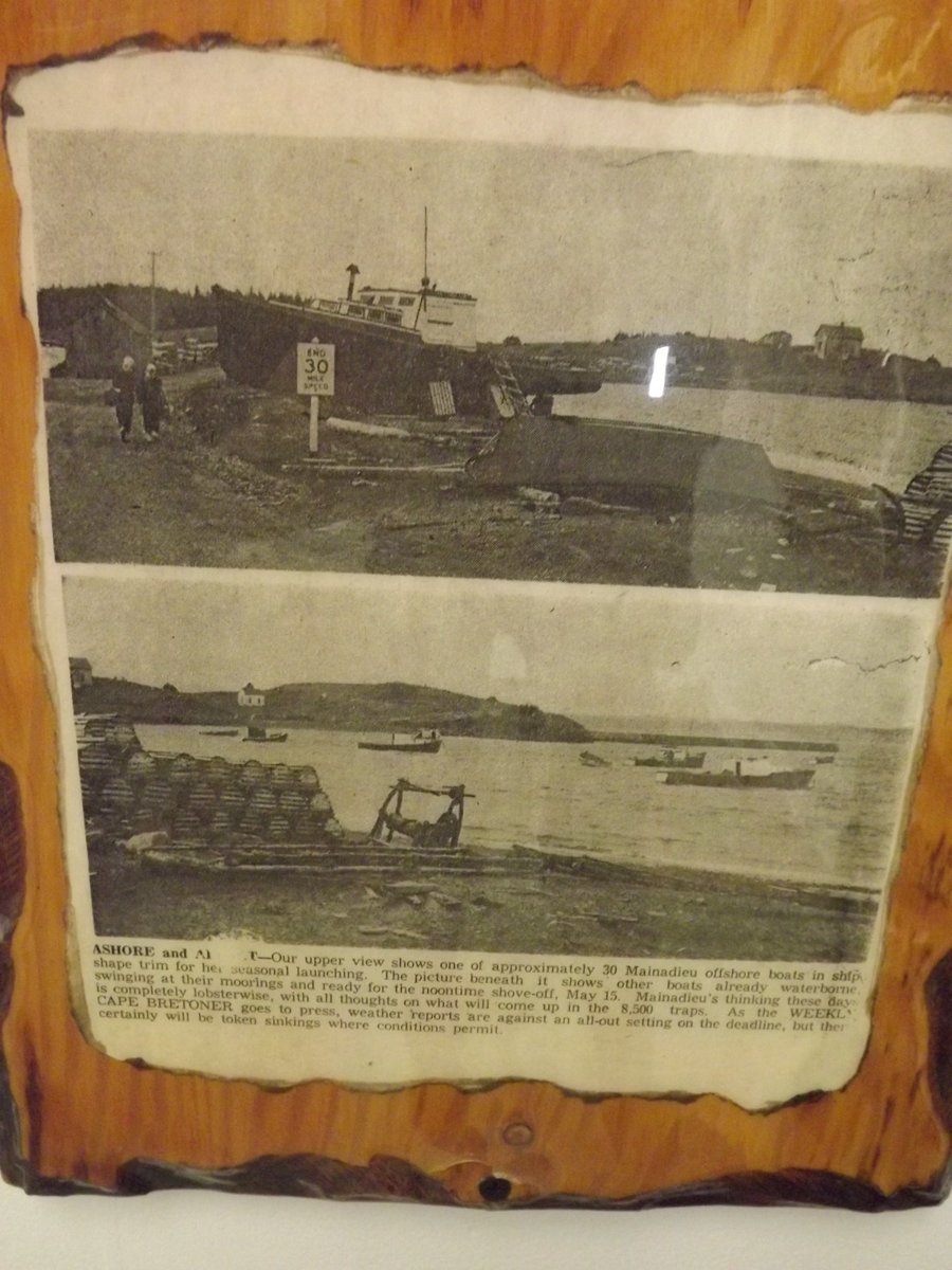 Coastal Discovery Centre tweet media