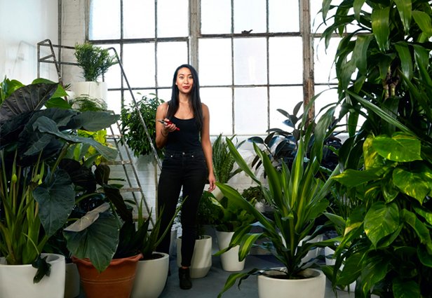 Conoce a la #florista que decora las oficinas de las más reconocidas #startups de USA: goo.gl/reHwwN