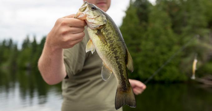 .<a href="/FieldandStream/">Field & Stream</a>: <a href="/INHSillinois/">Illinois Natural History Survey</a> research found male bass growing female eggs in #ILLINOIS. fieldandstream.com/blogs/field-no…