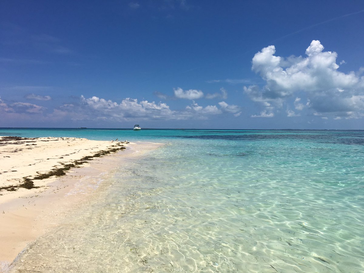 carmensluxtrvl's tweet image. Swimming with #stringrays and nurse sharks at Honeymoon Harbor in Gun Cay #BiminiBliss #BreakforBimini