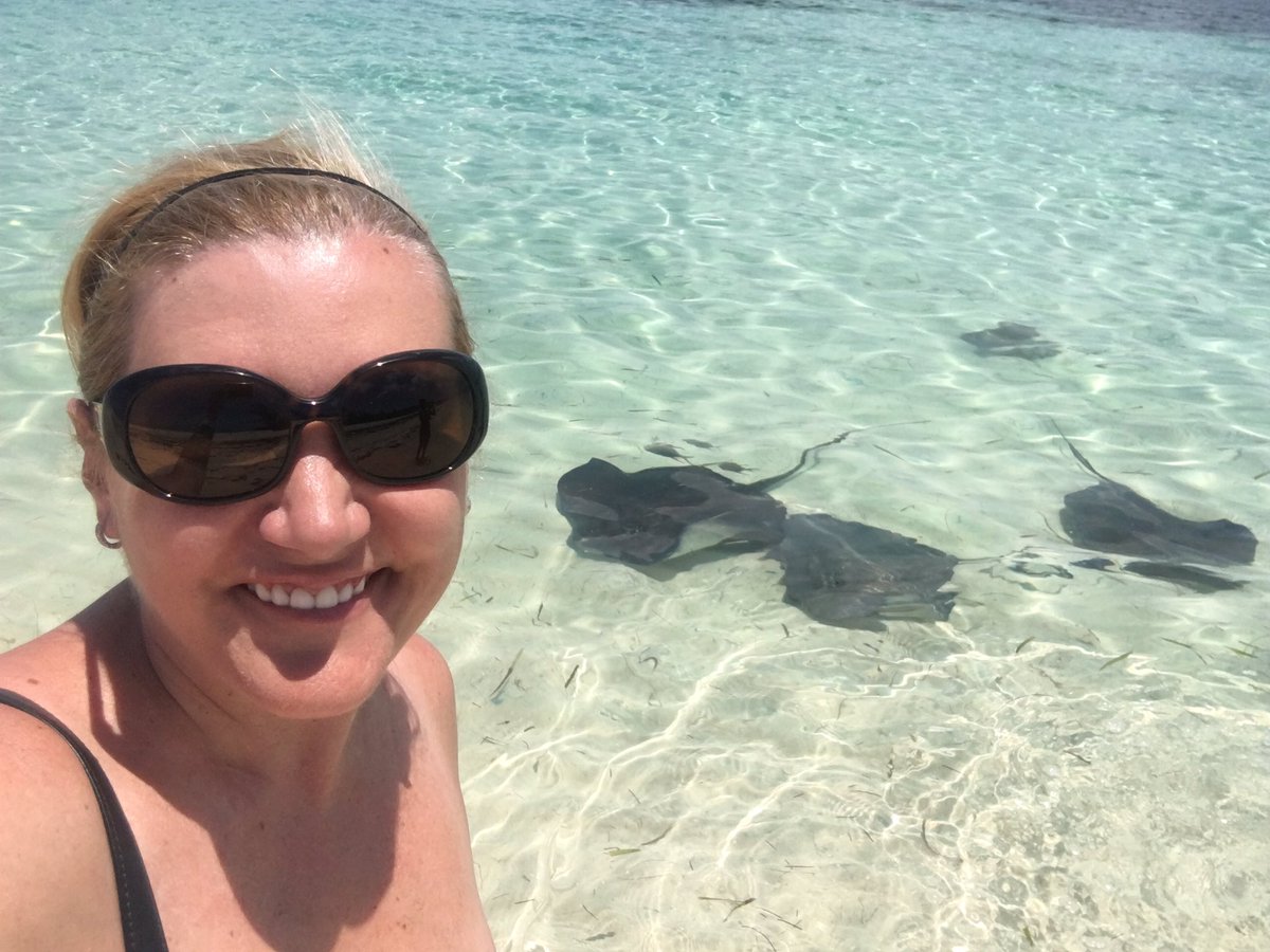 carmensluxtrvl's tweet image. Swimming with #stringrays and nurse sharks at Honeymoon Harbor in Gun Cay #BiminiBliss #BreakforBimini