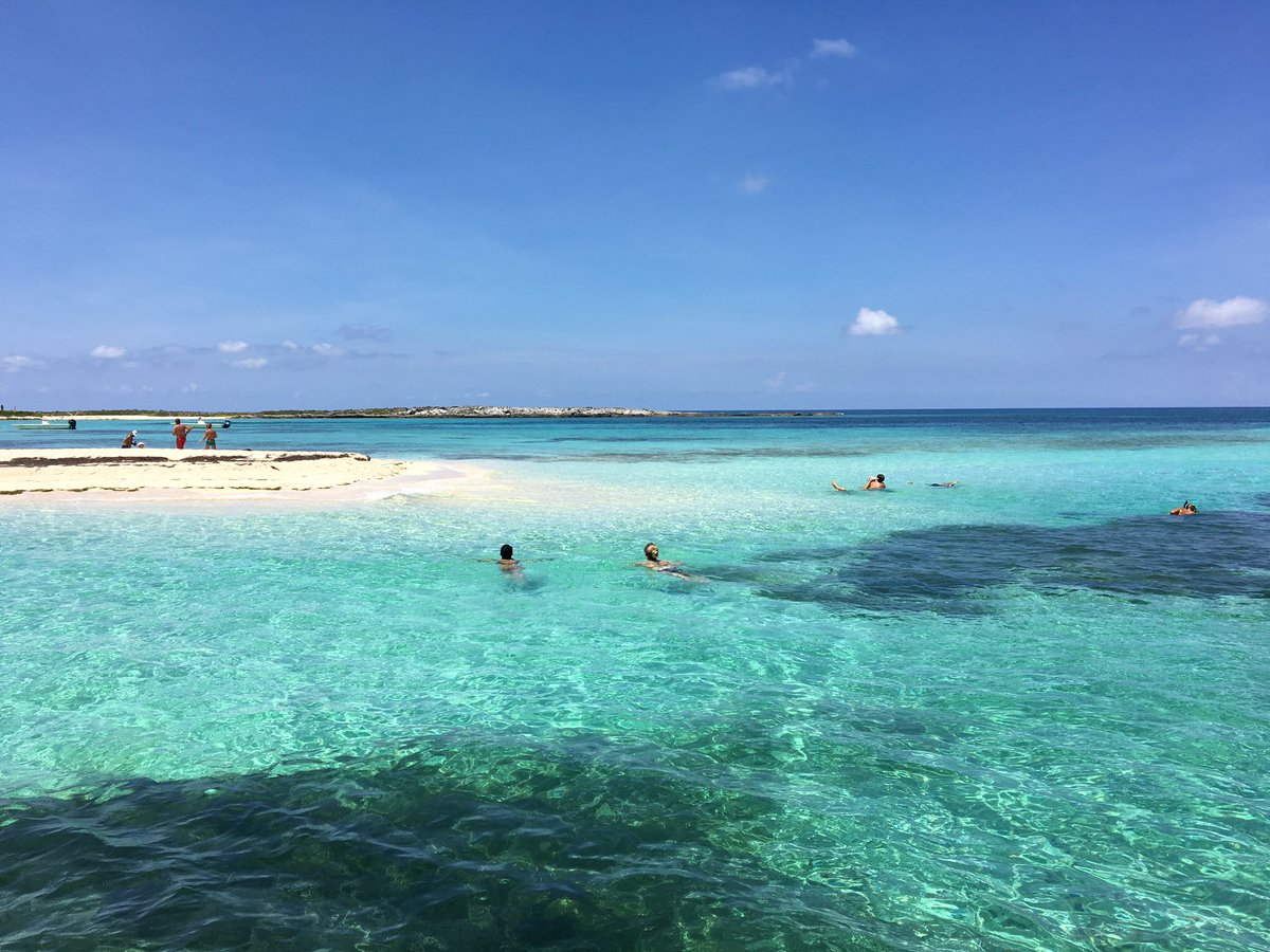 carmensluxtrvl's tweet image. Swimming with #stringrays and nurse sharks at Honeymoon Harbor in Gun Cay #BiminiBliss #BreakforBimini
