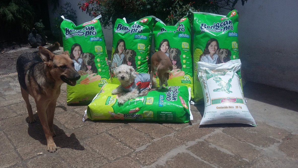 deynamles's tweet photo. NESECITAMOS DE TU APOYO!!! PARA LA MANTENCION DE NUESTROS CACHORROS DEL REFUGIO!!! INF.CEL.2451048311CD.SERDAN PUE. https://t.co/DITT20h0ZC