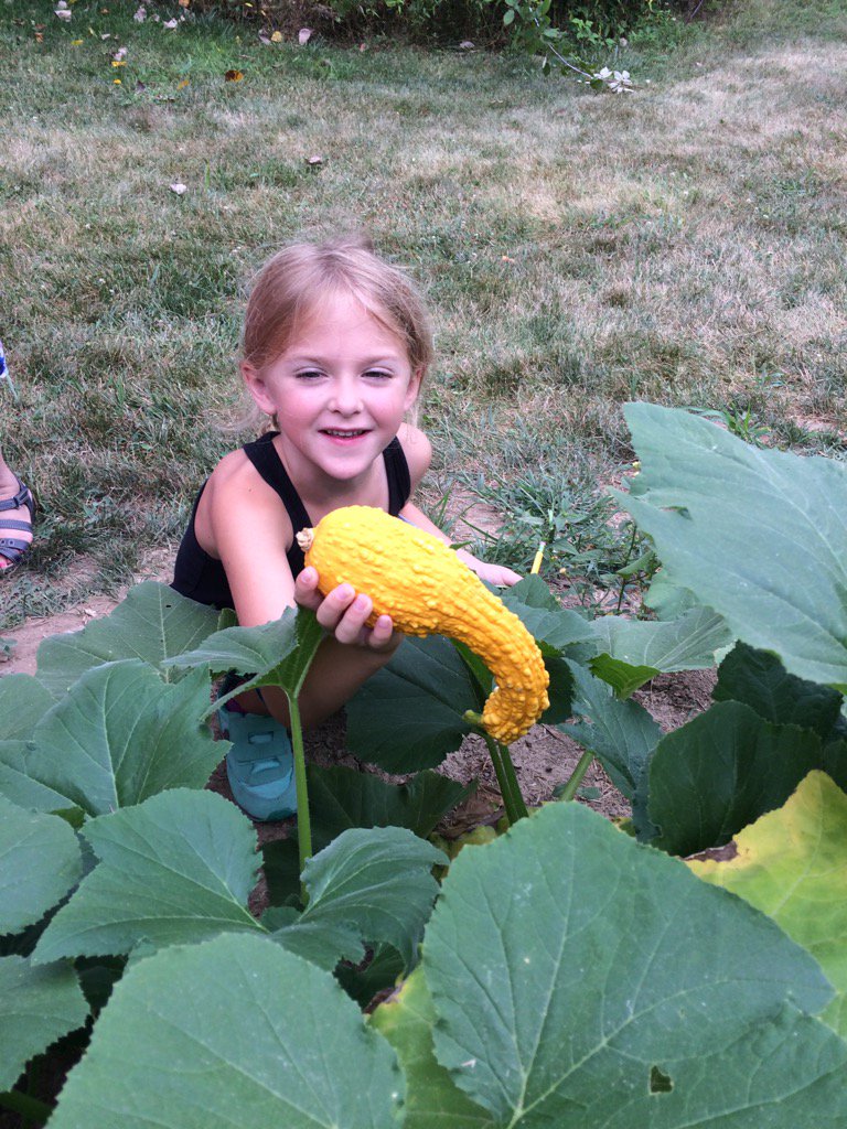 Sophia, harvesting a squash from the Union Garden