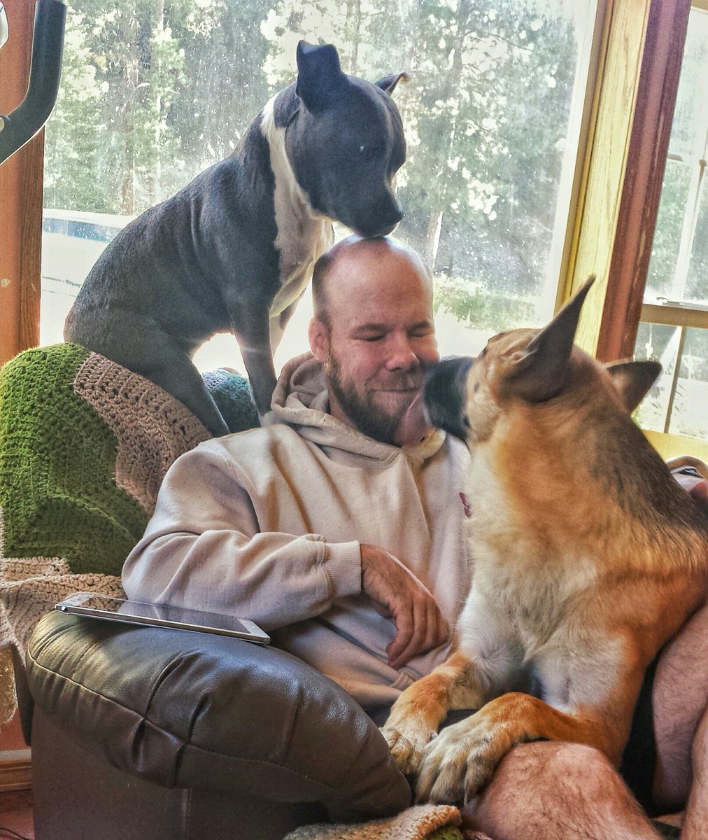 Stoney_06's tweet photo. Apparently I could use a lot of help. #LilBit #RangerDog #DogsOfMontana #dogsrule https://t.co/B4rsDwkmfr