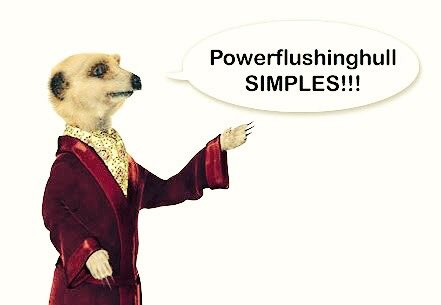 powerflushhull's tweet image. You use one of these,if you don't you roll this,simple !!!