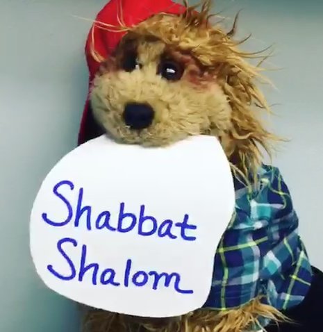 ShababaNetwork tweet picture
