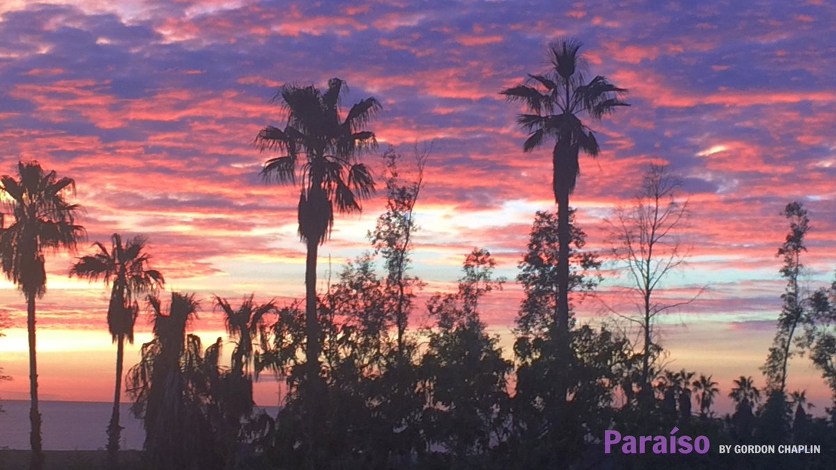 gordon_chaplin's tweet photo. Set in Mexican “Paradise,” this moody novel combines fantasy, noir and the complexities of every form of love https://t.co/F3RjGRHw8f