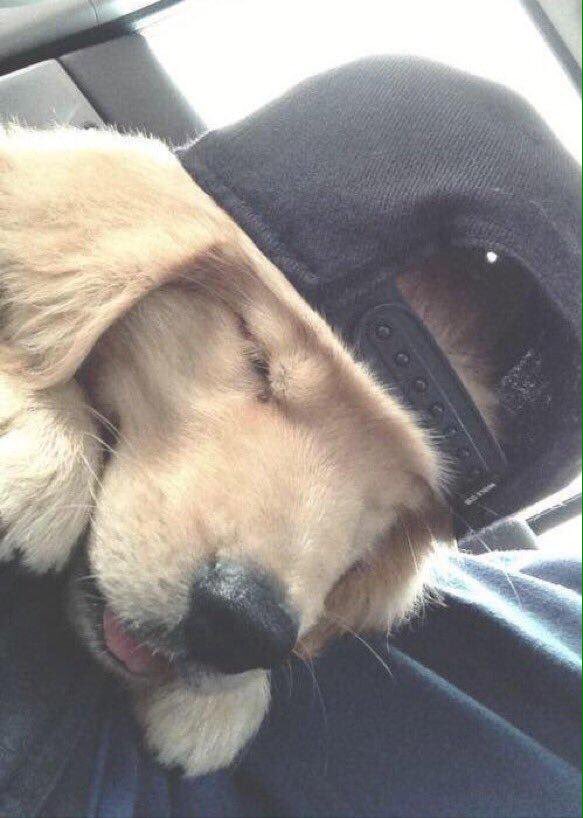 WordsOf_Emotion's tweet photo. Blonde guys wearing snapbacks will always make my heart melt. This guy is a 10/10 no doubt. https://t.co/vtuwO9ALuz
