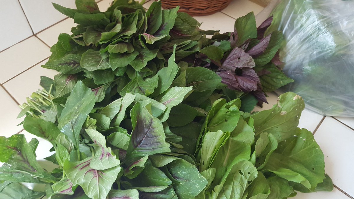 sonnylebythebay's tweet photo. Bought enuff from Old #Oakland #FarmersMarket for a whole battalion... who's coming for dinner? #immigrant #foodsway https://t.co/jpLDdBBkiP
