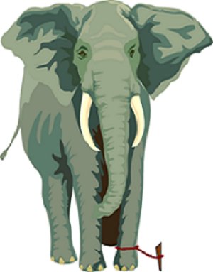Can such a powerful animal be limited by a small rope?  The #mind is programable! #WorldElephantDay