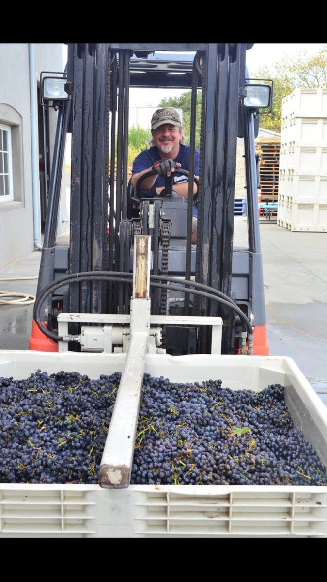 #harvest starts!! Pulling in our #pinot grapes from our #RussianRiver valley today for our bubbles!! #drinktrione