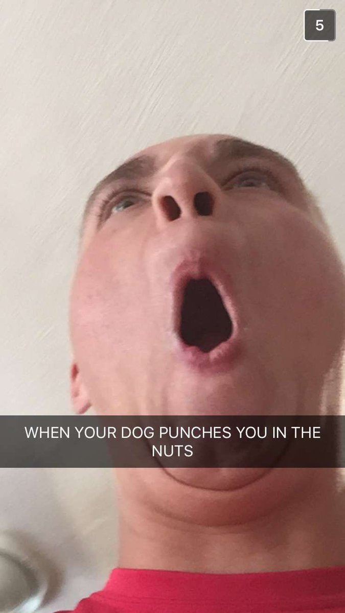 shittygersays's tweet photo. They've been having a rough go of things lately #ShitTygerSays #deeznuts https://t.co/VBtKQD2lQB