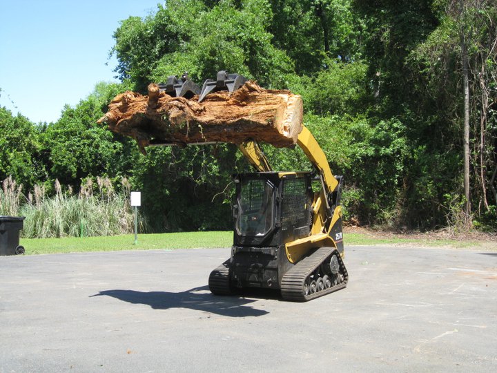 CricketsTally's tweet photo. Need a #Tallahassee #TreeService? 

Call Cricket's! 

https://t.co/YhtR1HAz4H https://t.co/IEiOBG2Gkh