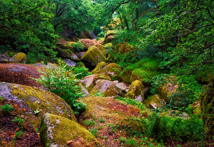JantomHolidays's tweet photo. Do you about the places you MUST visit in Brittany?

https://t.co/evcXGklvMf https://t.co/YAryfrZ601