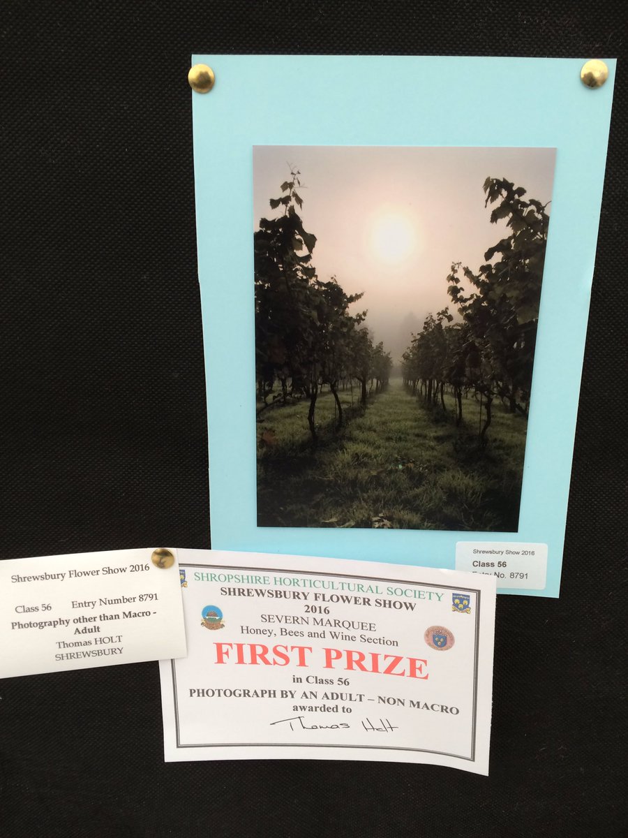 paso_primero's tweet image. Time for a career change!? My photo of our 'hobby' vineyard won 1st prize at the #Shrewsbury flower show!