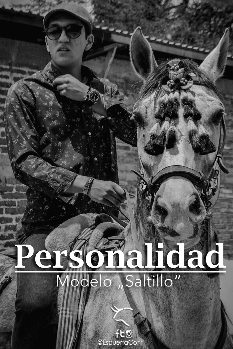 EspuertaCont's tweet photo. El mejor amigo del hombre. 💜🐴
En dónde sea, sigue #MarcandoDiferencia con #Espuerta 😎👊🏼 #SoyEspuerta https://t.co/QNCJp7unFC