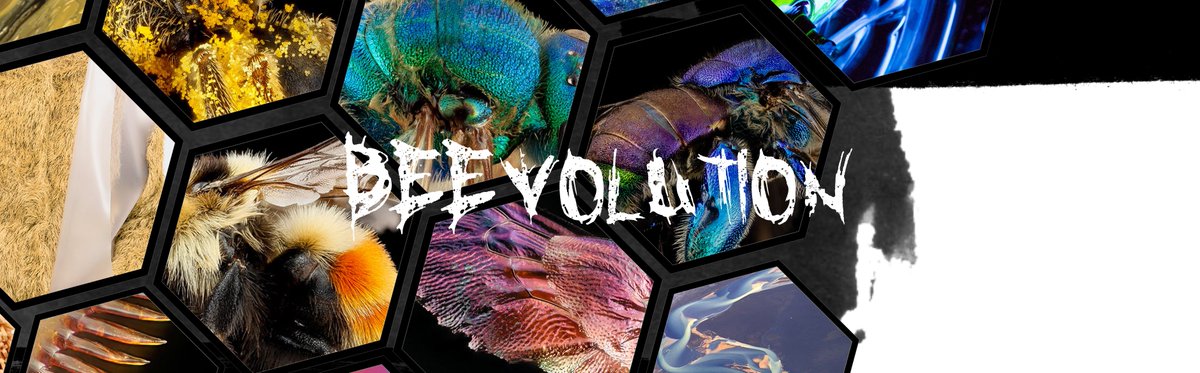 angustsui's tweet photo. Coming Soon! #ANGUSTSUI #BEEvolution🐝 https://t.co/2Zcmmx4P4c