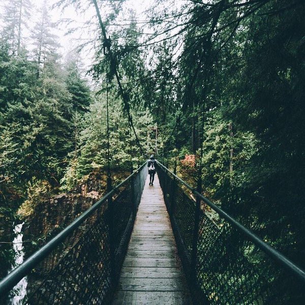 naturenchill's tweet photo. 🍃🌿 https://t.co/4UiETv0a3Z