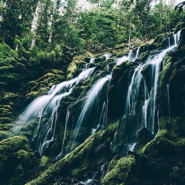 naturenchill's tweet photo. 🍃🌿 https://t.co/4UiETv0a3Z