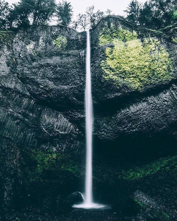naturenchill's tweet photo. 🍃🌿 https://t.co/4UiETv0a3Z