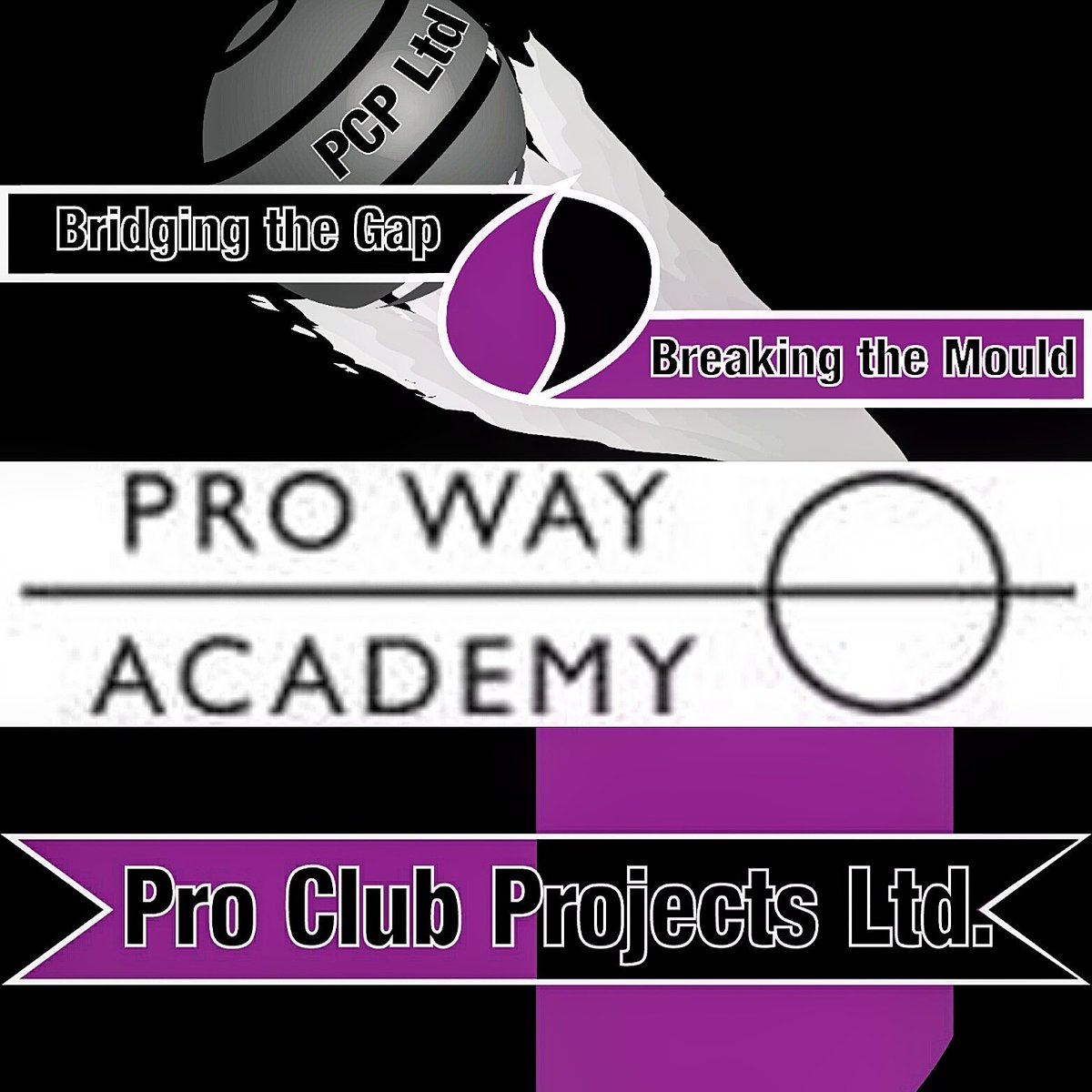 PCP Academy tweet media