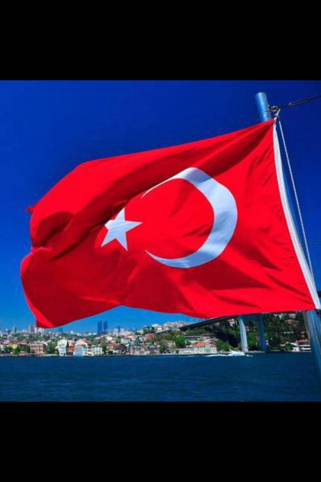 KocyigitZerrin's tweet photo. VATANIM  SENİ KİMSEYE BÖLECEK https://t.co/9NLyojqPle