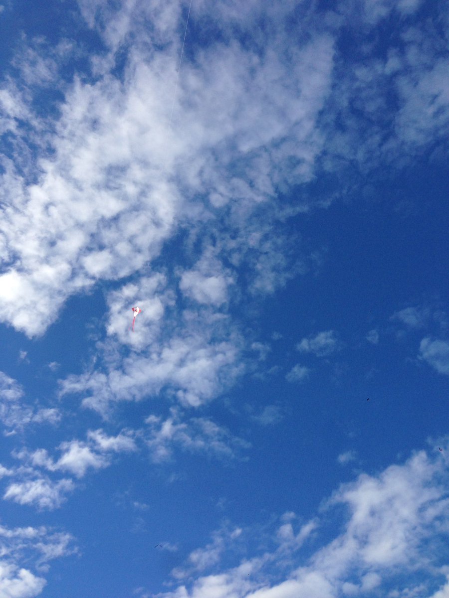 savenowfurniture.com (@savenowsupplies) on Twitter photo 