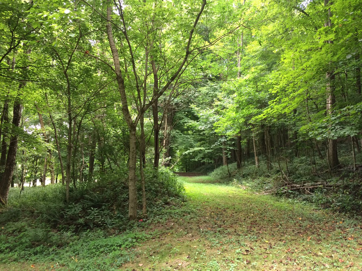 Everyone is extremely excited about #firstkillmovie coming to Granville <a href="/stevencmiller/">Steven C Miller</a> <a href="/CampLazyRiver/">LazyRiverAtGranville</a> So Awesome!