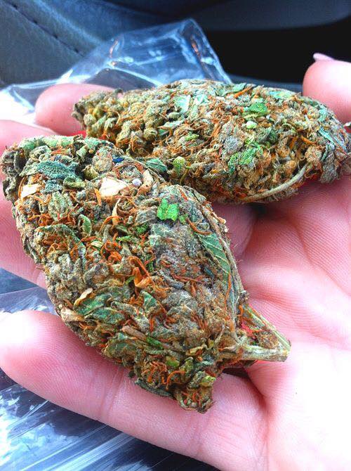 ArizonaHemp's tweet photo. Friday Nugs at https://t.co/c00cIp7GtQ Baby!!! https://t.co/yf6w7fUUTX