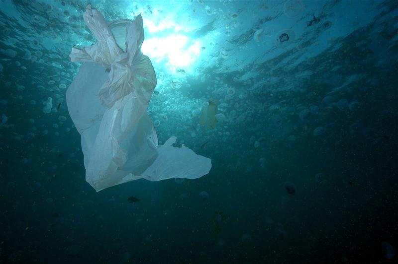 GreenpeaceUK's tweet photo. ICYMI: England's plastic bag use drops 85% since 5p charge introduced >> https://t.co/hwhdh3q8yy https://t.co/veIkPWCg1Y