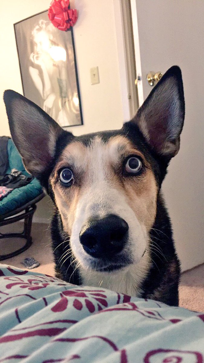 Mackbug's tweet image. Lemme bless your timeline real quick