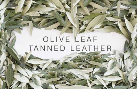 🌱🍃🌱🍃🌱🍃🌱🍃#shoes Made With Olive Leafe. Have a look to this  #startup buff.ly/2bbmFqX #entrepreneur🌱🍃🌱🍃🌱🍃🌱🍃