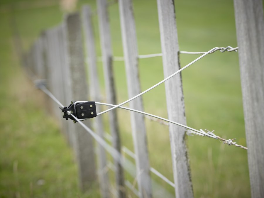GallagherNA's tweet photo. Hot offset-wire sends a big message to #calves! https://t.co/DetJBbsvU2 #electricfence #powerfence #cattle https://t.co/iAQD9LRuw0