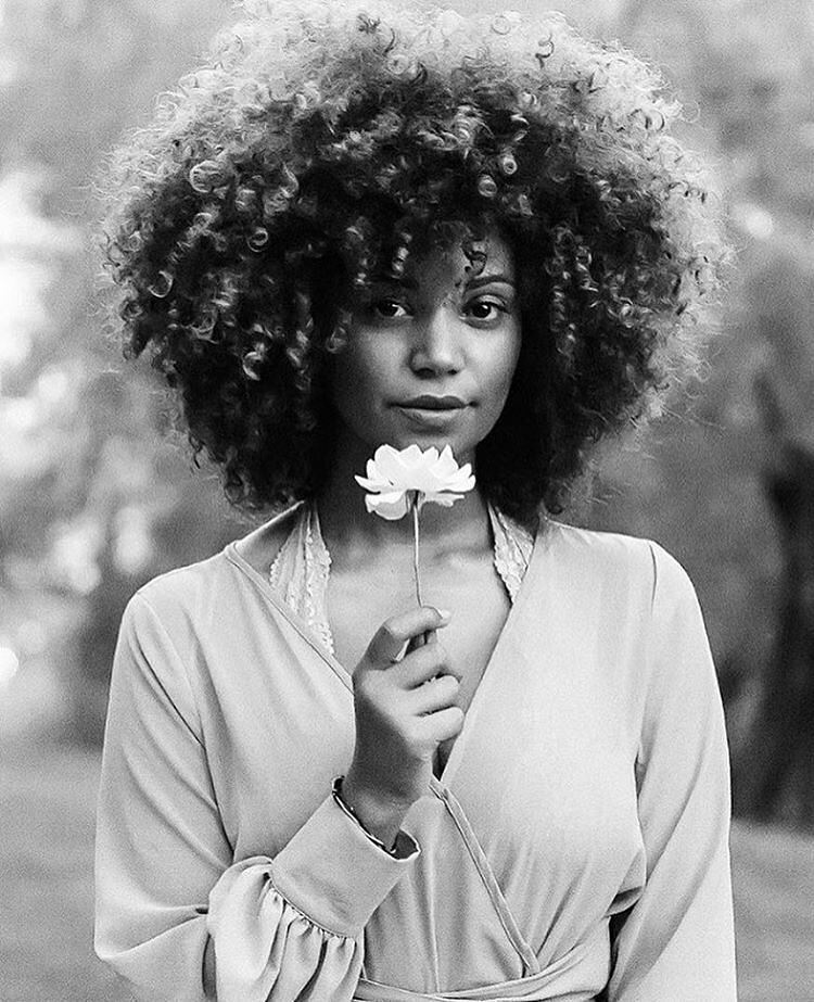 Afrocenchix's tweet photo. Happy #Froday! 😘
.
.
.
.
.
#afrohair #Afro #BlackHair #naturalhair #naturalhairdaily #nhda… https://t.co/uX7BCw21Zr https://t.co/MaO8ZJ1f3K