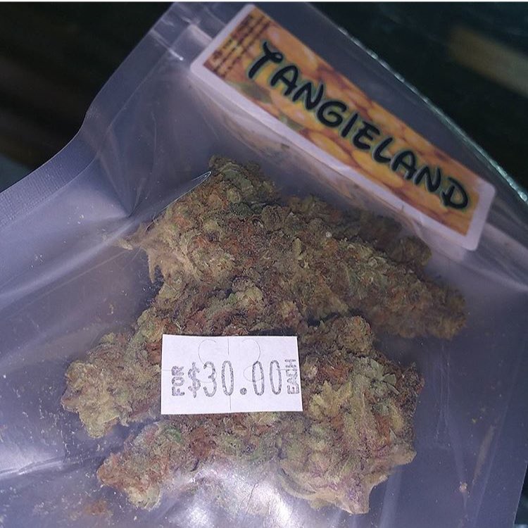 FortuneWellness's tweet photo. $30 for 4g!!! https://t.co/qwlrZkqQyB