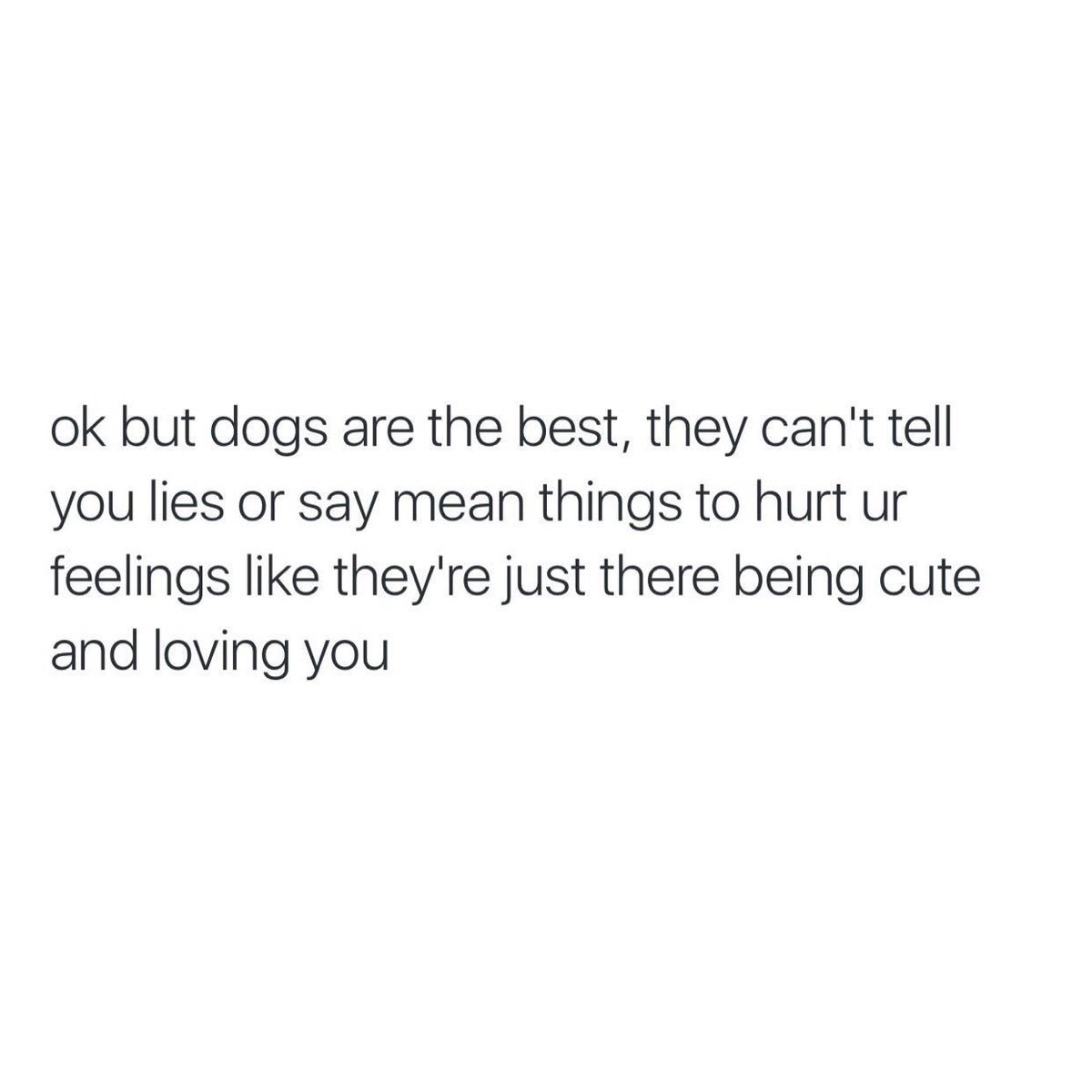 ActuallyAiden's tweet photo. We don't deserve dogs https://t.co/wASWy0v8n1