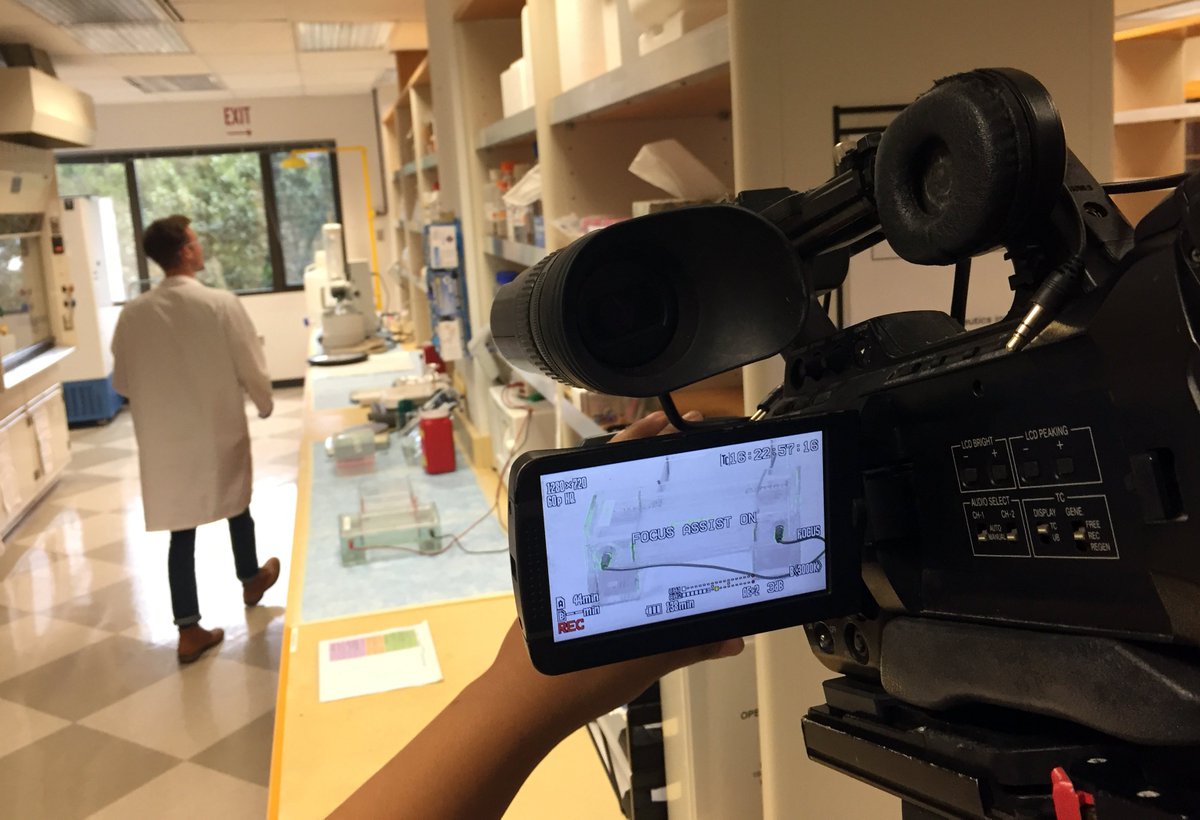 BioTherap's tweet photo. Our superstar Labtech Tobin needs no assist--because he is so focused! #vtcrc #pervidahealth #virginia_tech https://t.co/C5spyU43mU