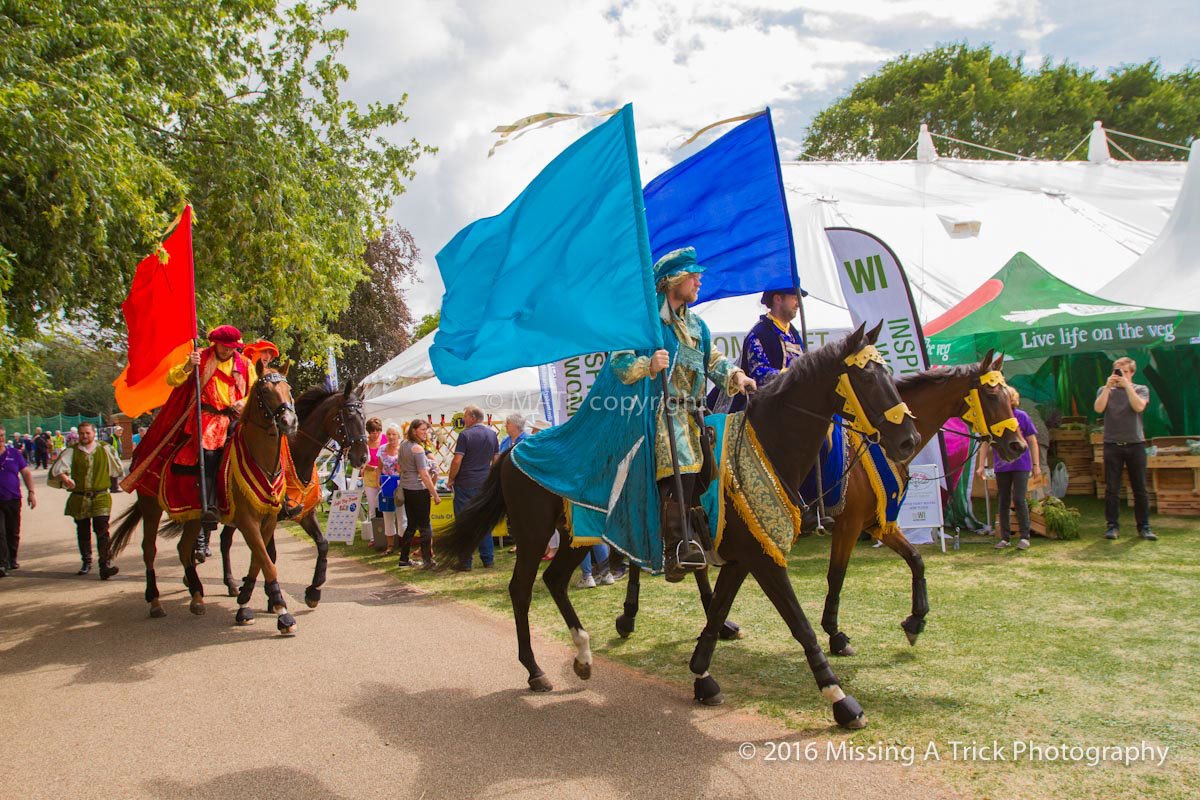 TauntonFS's tweet photo. A week ago! #TFS2016 & The Knights of Arkley (flowers & chivarly too!) #FlashbackFriday ©#photography @MissingATrick https://t.co/wobKuLHL0t