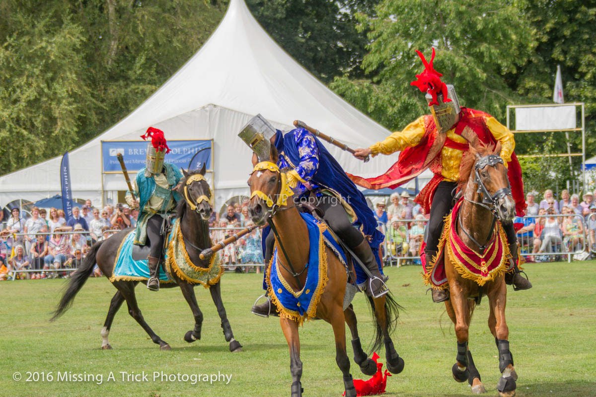 TauntonFS's tweet photo. A week ago! #TFS2016 & The Knights of Arkley (flowers & chivarly too!) #FlashbackFriday ©#photography @MissingATrick https://t.co/wobKuLHL0t