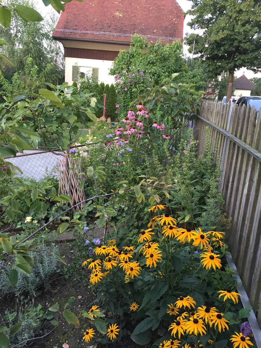 Patrick31293894's tweet photo. #garden https://t.co/AbRIIQNYXs