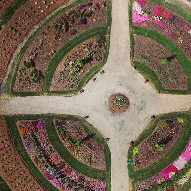 LOassocMag's tweet photo. Landscape Ontario is on Instagram! Click to link and follow our account: https://t.co/OoMy7IqKQd https://t.co/jz8Mzkduy3